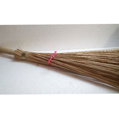 Street Broom Without Stick